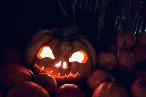 Halloween in London: The best spooky restaurants, menus, events and gifts for 2024