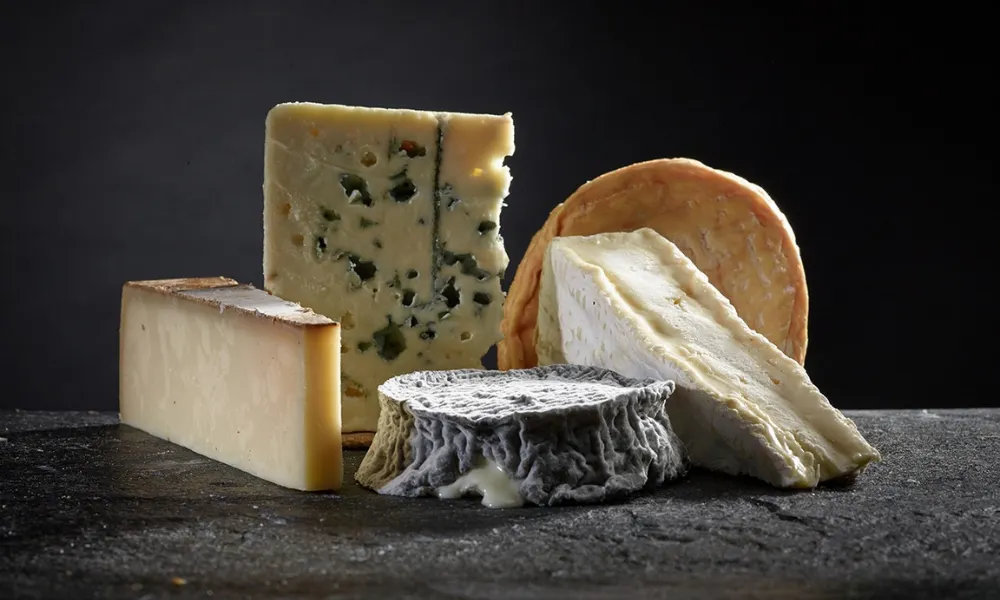 selection of cheeses laid on a black slate board
