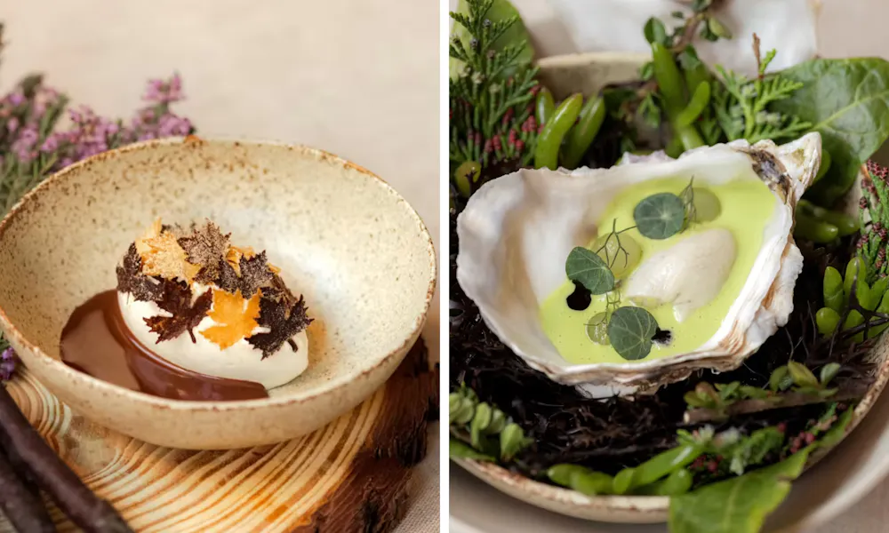dishes from IGNI