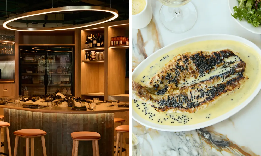 oyster counter at the sea the sea chelsea