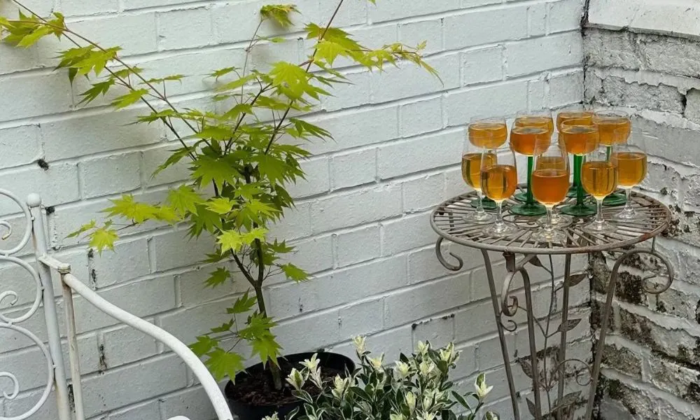 glasses of apertifs on a table in a garden