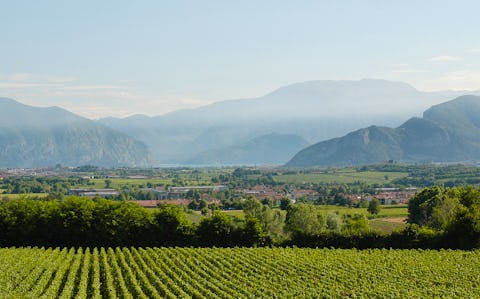 Is Franciacorta the next big thing in fizz?