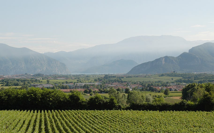 Is Franciacorta the next big thing in fizz?