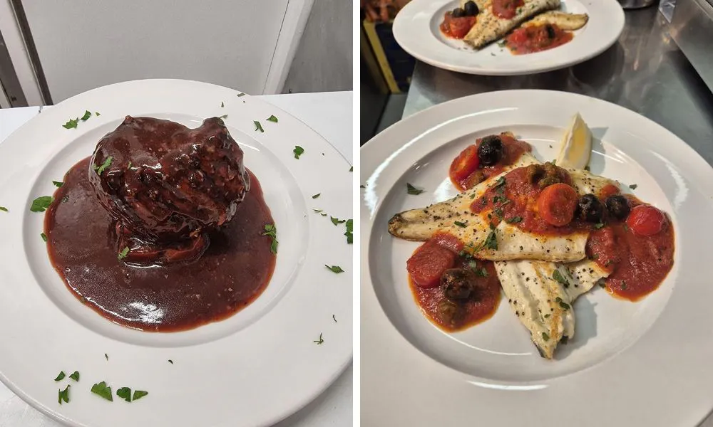 beef in gravy and fish with tomatoes