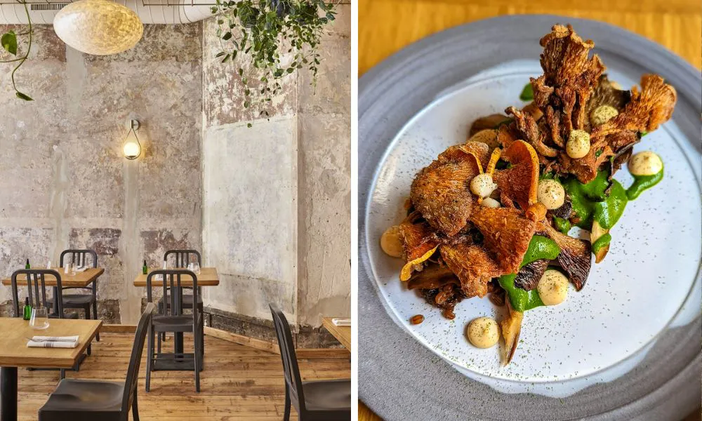 Interiors at apricity and mushroom dish