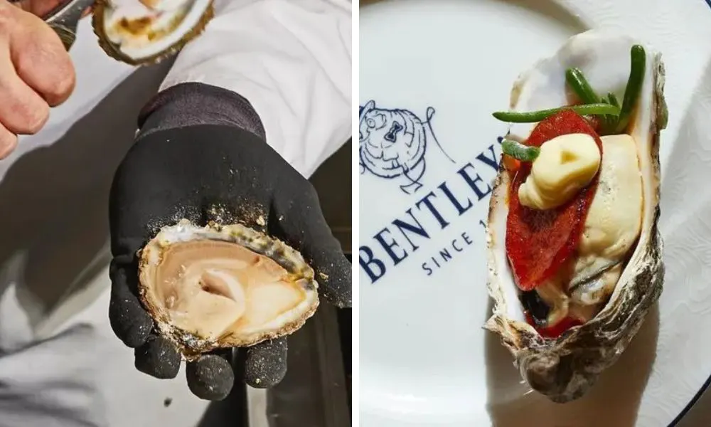 oyster being shucked and oyster dressed on a plate