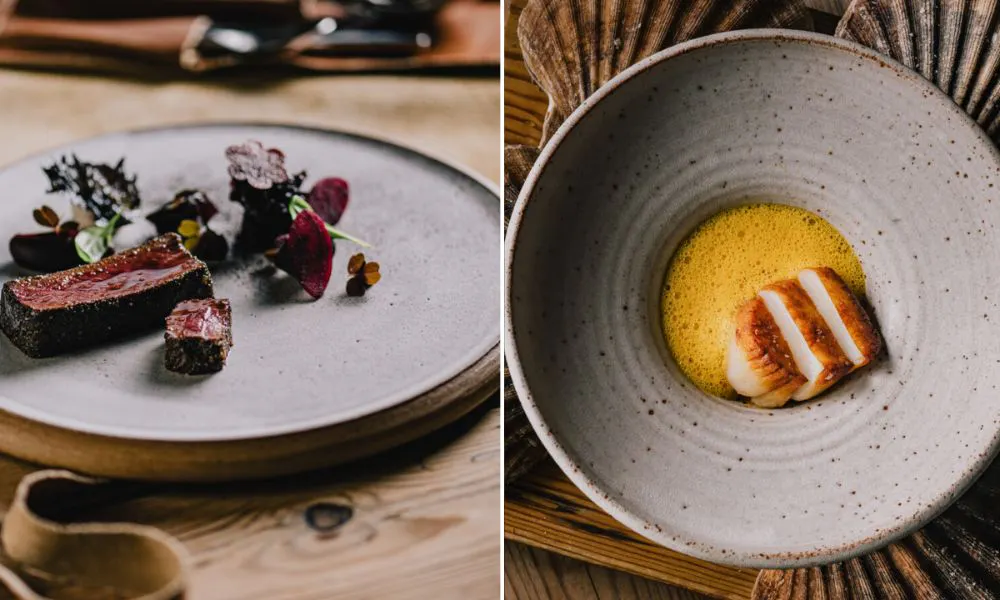Forest side dishes
