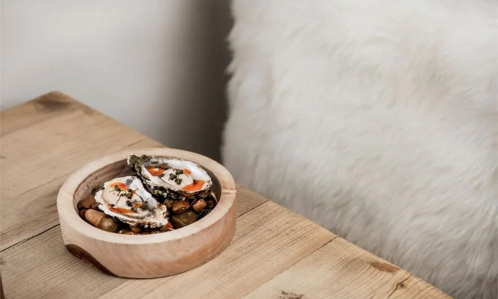plate with oysters set on small pebbles