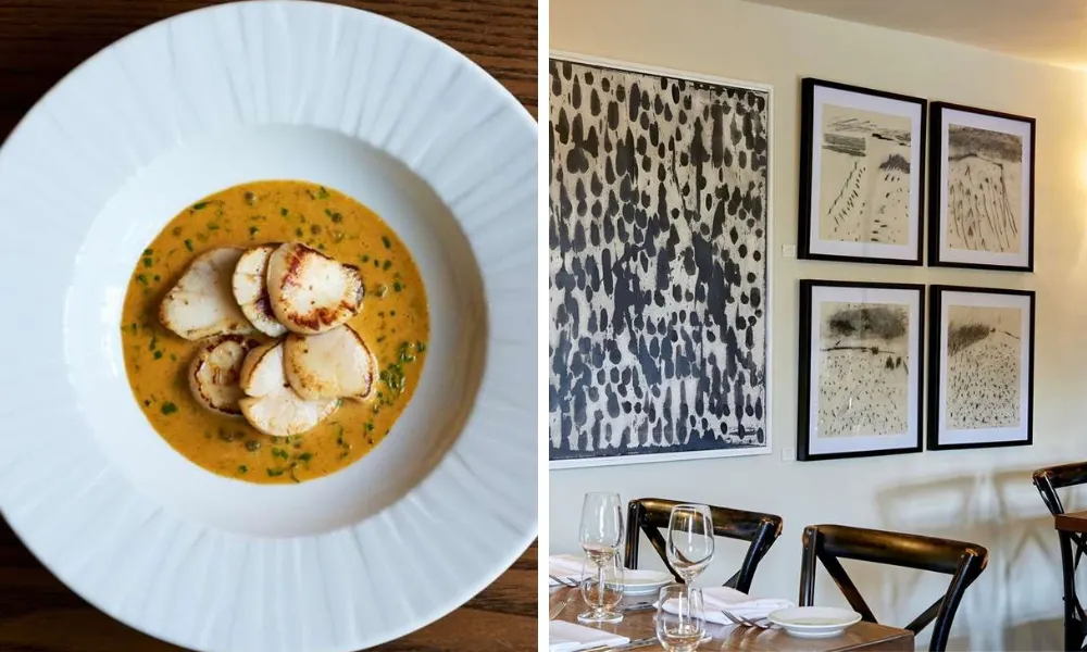 Scallops in sauce