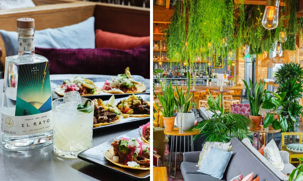 A bottle of tequilla and tacos (left); vibrant, foliage-filled interiors at Madera (right)