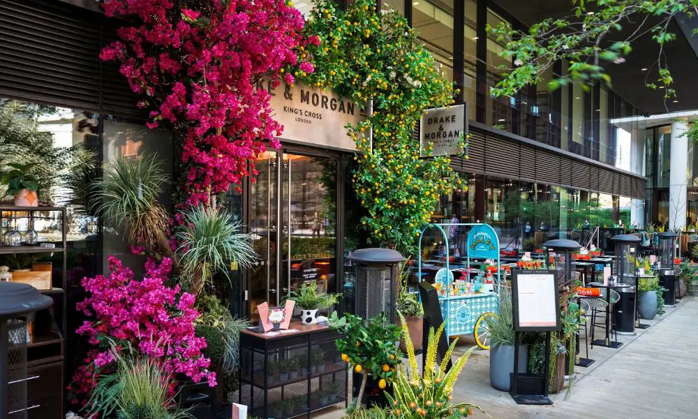 floiage-filled terrace at Drake & Morgan