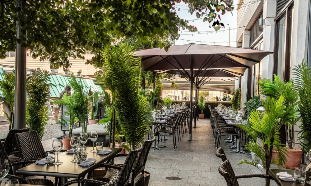 Terrace area with umbrellas and green planting