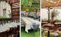 Outdoor private dining in London: 25 restaurants with alfresco spaces for hire