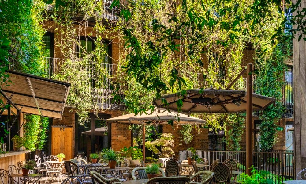 Outdoor private dining in London: 10 restaurants with alfresco spaces for hire