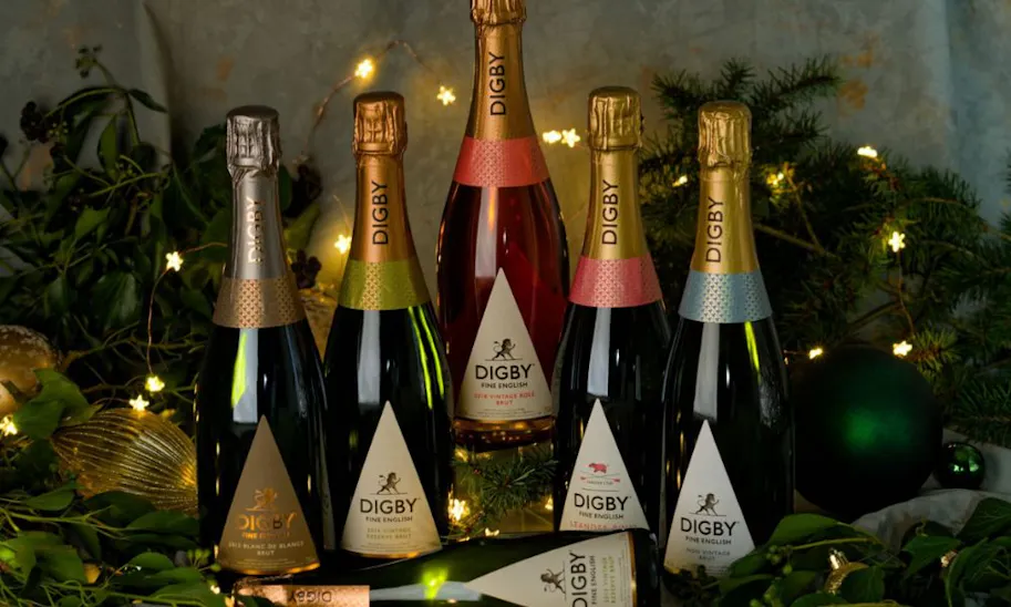 Best English sparkling wine: Award-winning bottles to buy in 2026
