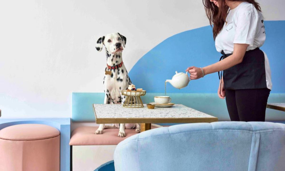 19-of-the-most-dog-friendly-restaurants-in-london