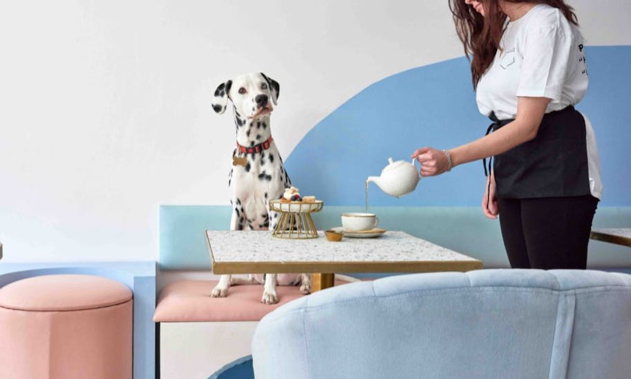 20 of the most dog-friendly restaurants in London