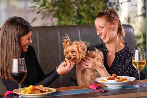 The most dog-friendly restaurants in London