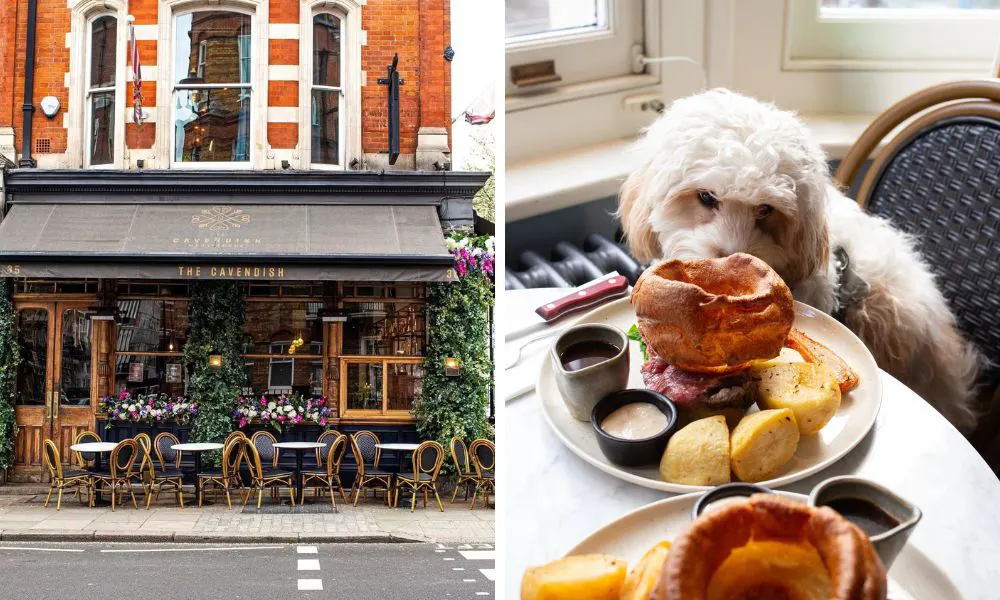 exterior of british gastropub and dog with roast dinner