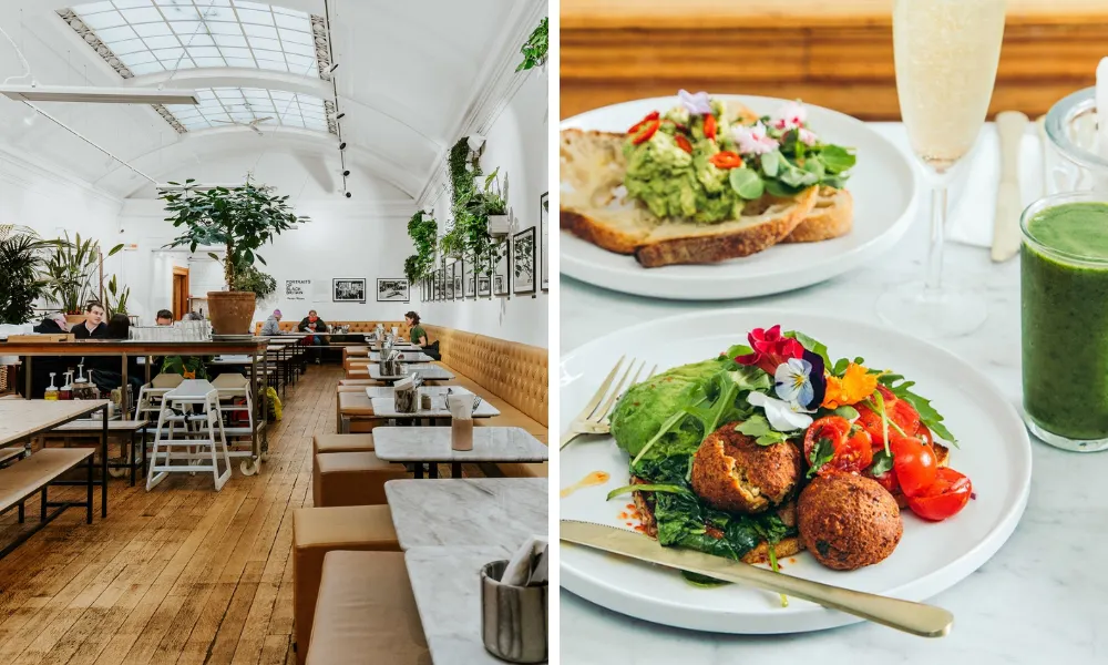 falafel breakfast and brunch dining room with plants