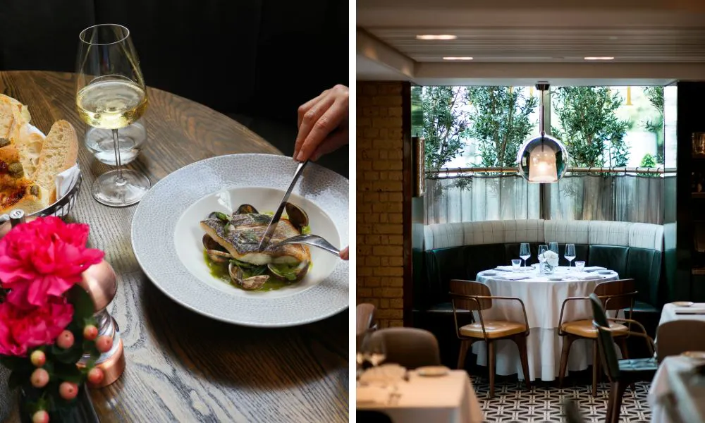 someone cutting into a piece of fish and elegant booth seating by the window
