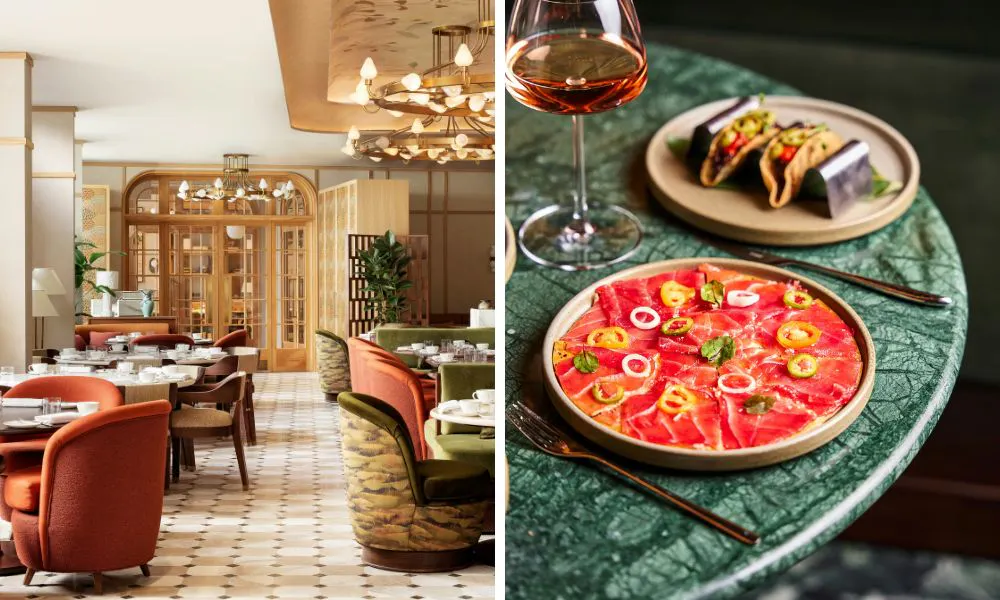elegant dining room, and tuna 'pizza' dish 