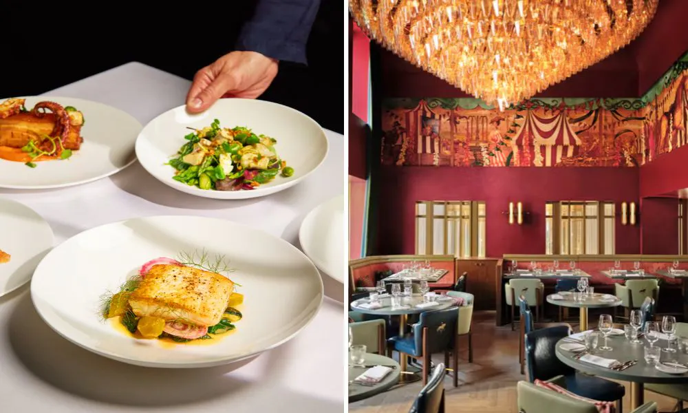 Dishes on table and stylish interiors
