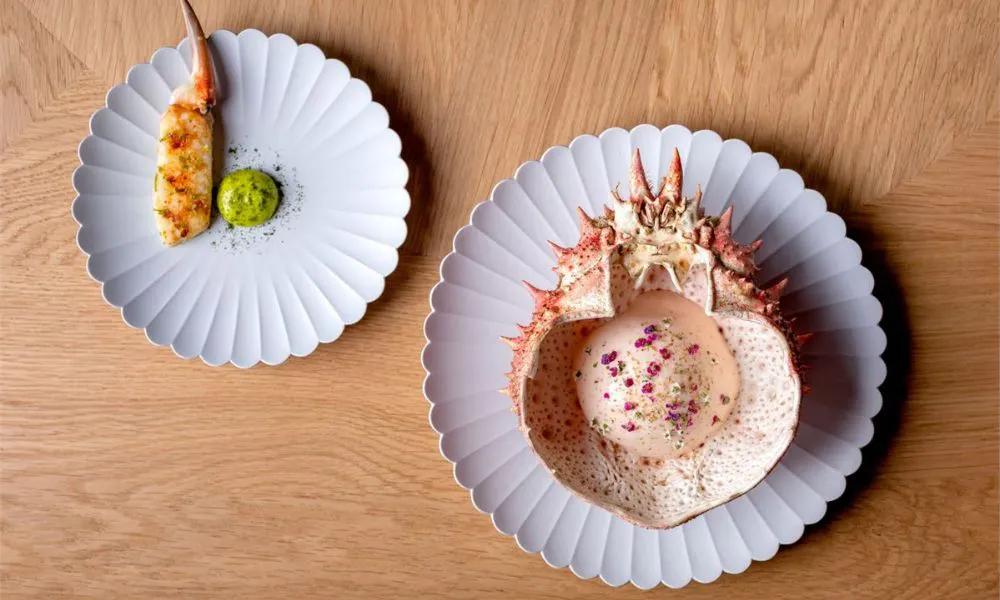 a selection of artistically plated dishes