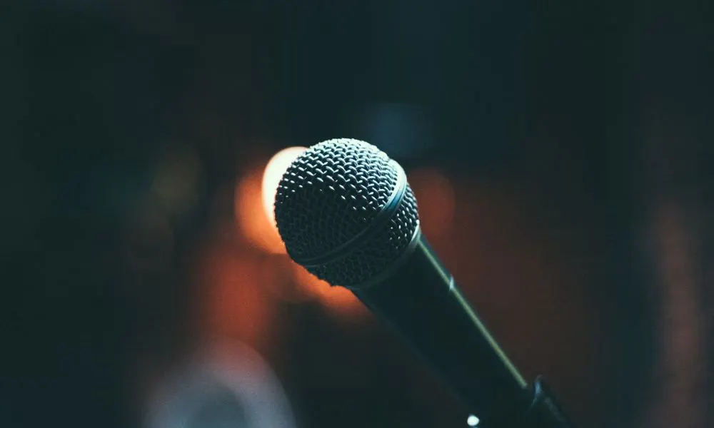 mic on mic stand