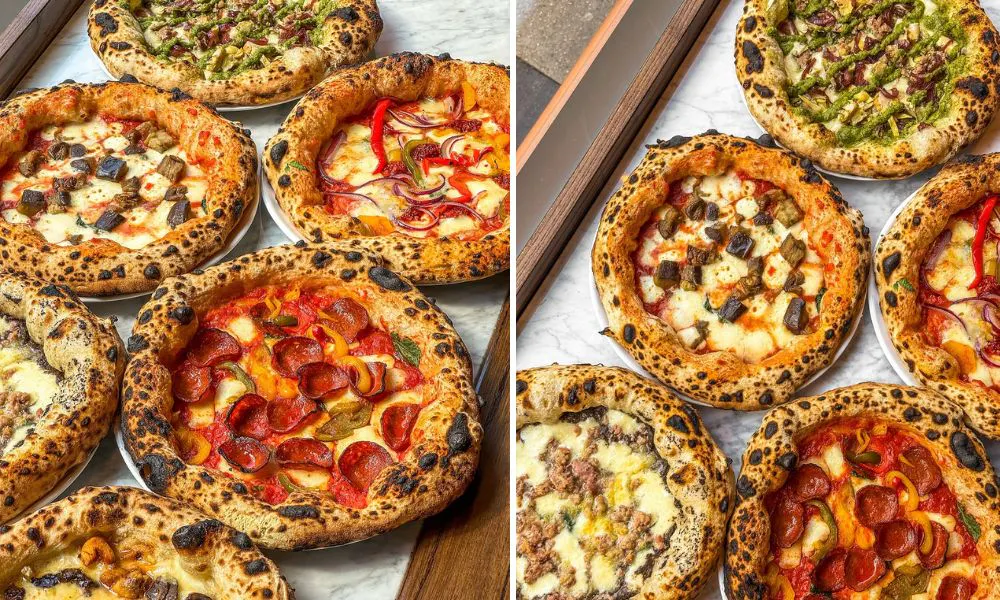 pizzas at crust bros