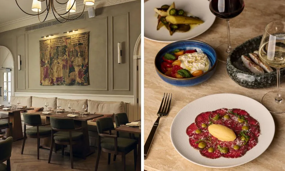 stylish restaurant dining room and beef carpaccio with parmesan butter