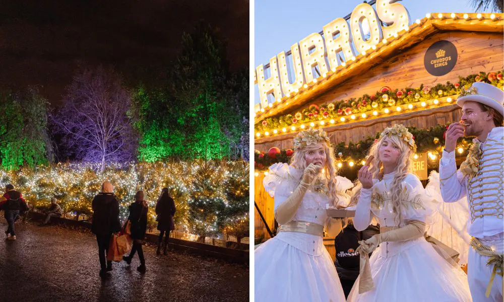 Christmas tree maze and churro stand