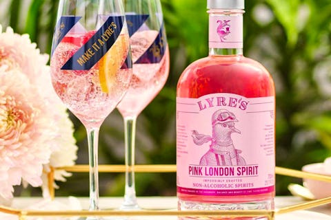 Best alcohol-free gin 2024: 13 non-alcoholic gins for teetotal tippling