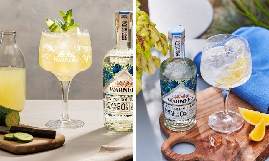 Best alcohol-free gin 2025: 17 non-alcoholic gins for teetotal tippling