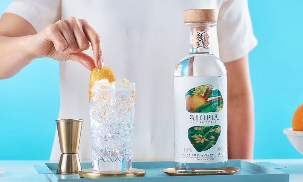 Best alcoholfree gin 2024 13 nonalcoholic gins for teetotal tippling