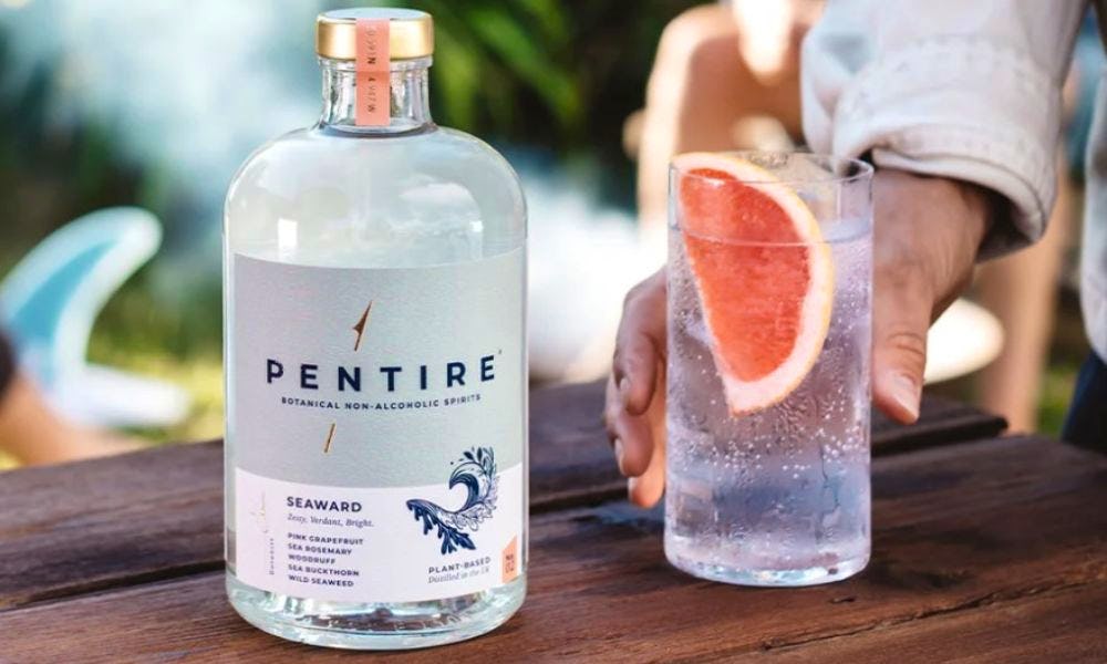 Best alcoholfree gin 2024 13 nonalcoholic gins for teetotal tippling