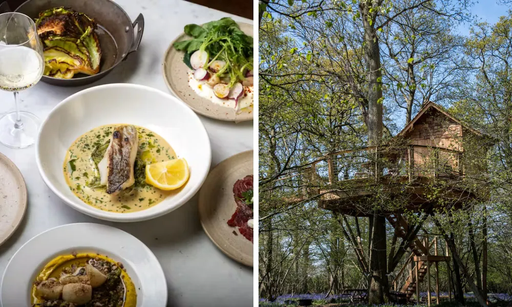 treehouse at knepp estate