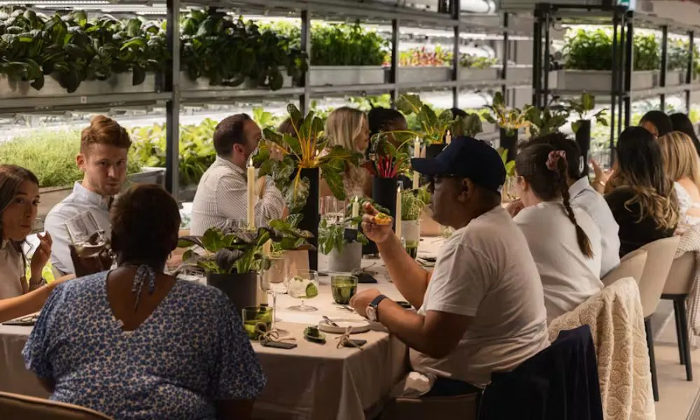 Dining table and diners in an indoor plant farm