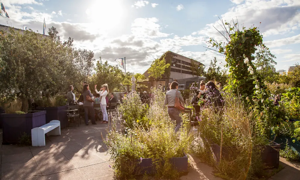 queen elizabeth roof garden in summer