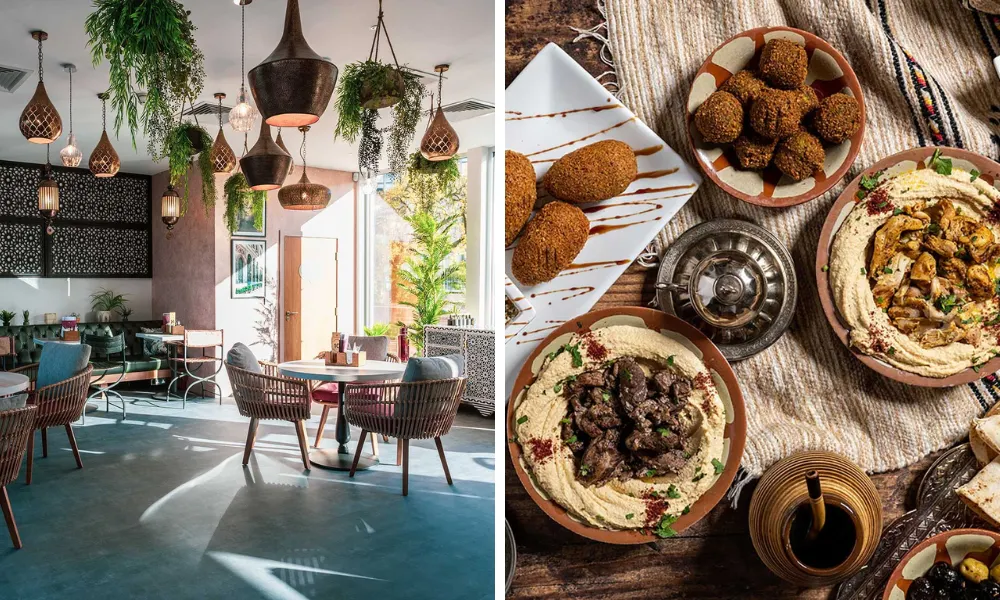 damascena falafel and hummus