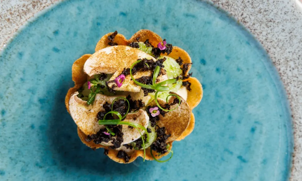 vegan tasting menu at adam's