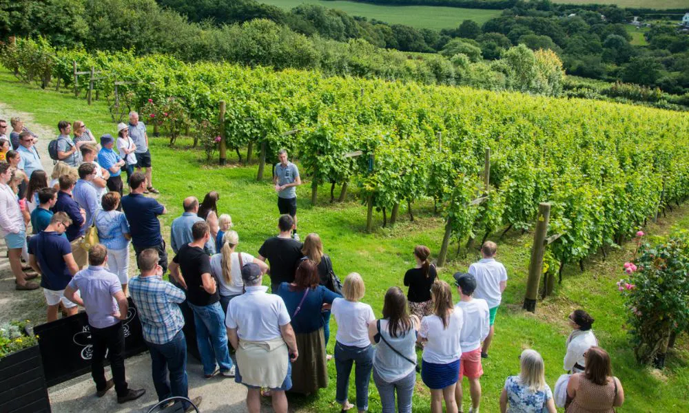 A group on a wine tour at Camel valley