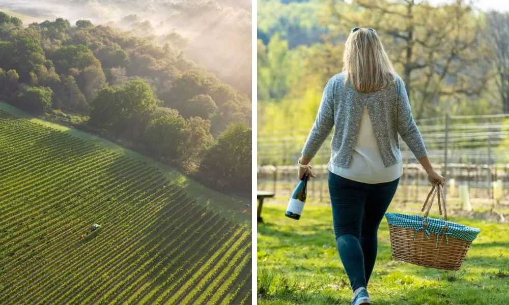 sprawling vineyards, and woman carrying a bottle of wine and a picnic blanket