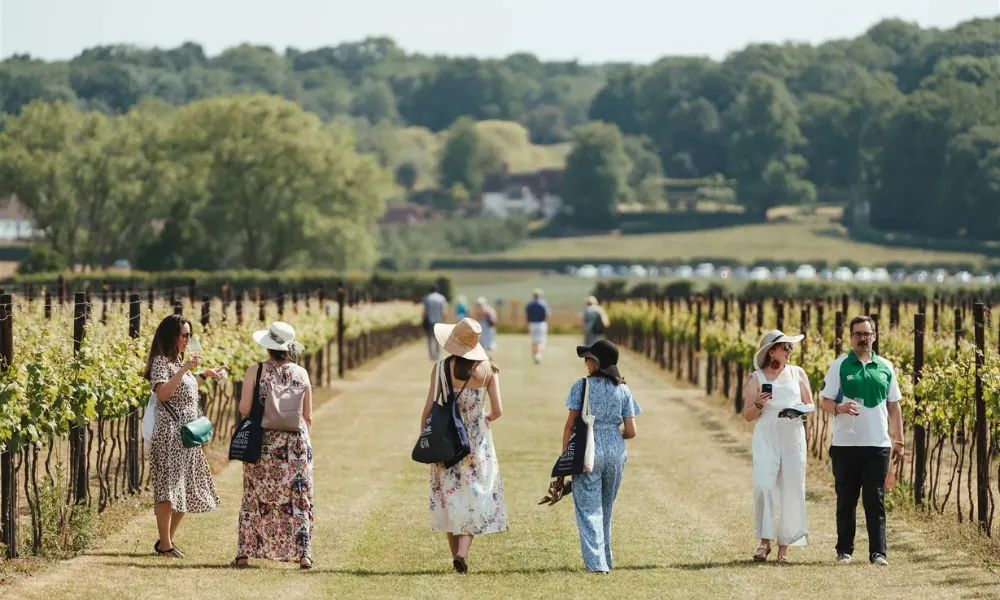 People walking down a path between vines