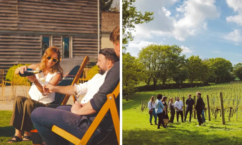 Chapel Down wine and vines