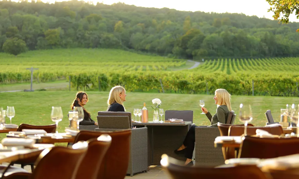 Women drinking on the terrace at denbies