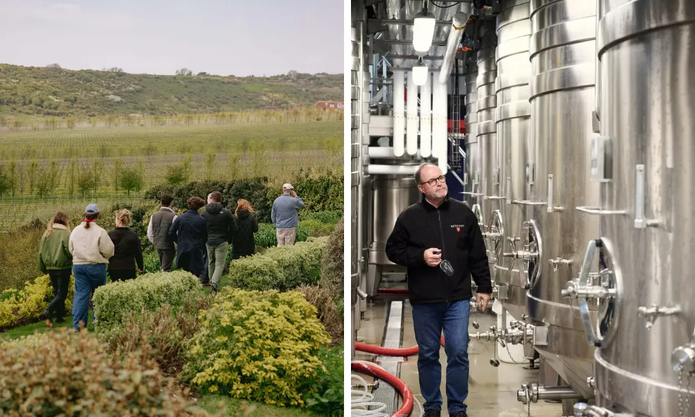 Vineyards and stills at Rathfinny Wine Estate