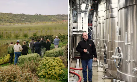 Best vineyards in the UK: 16 stunning wineries you can visit