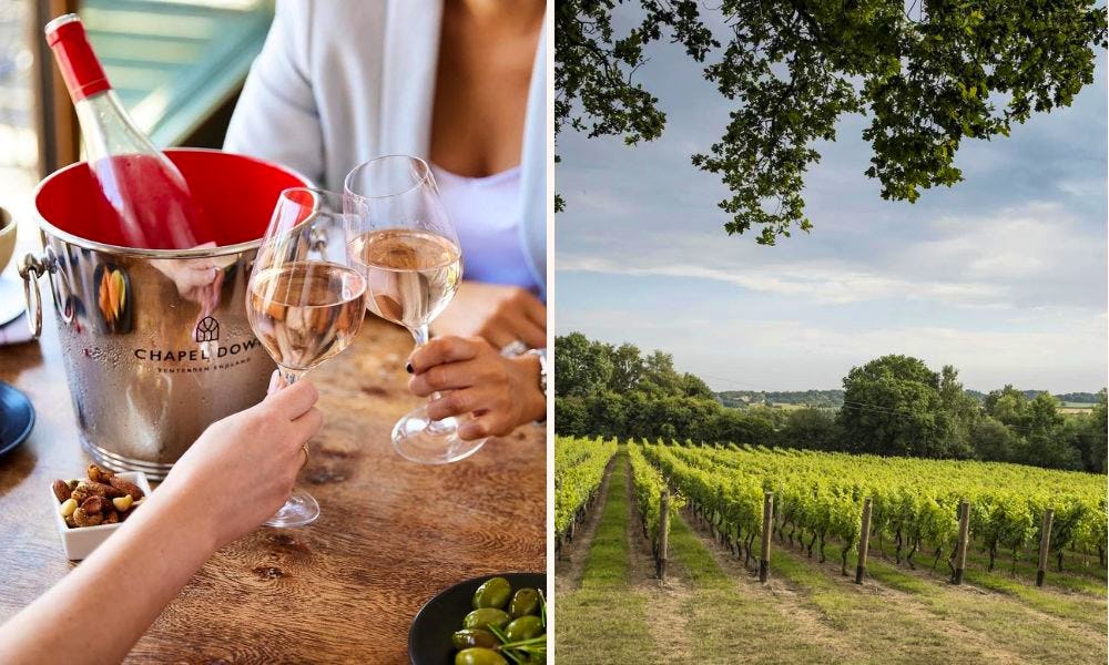 Best vineyards in the UK 12 stunning wineries you can visit
