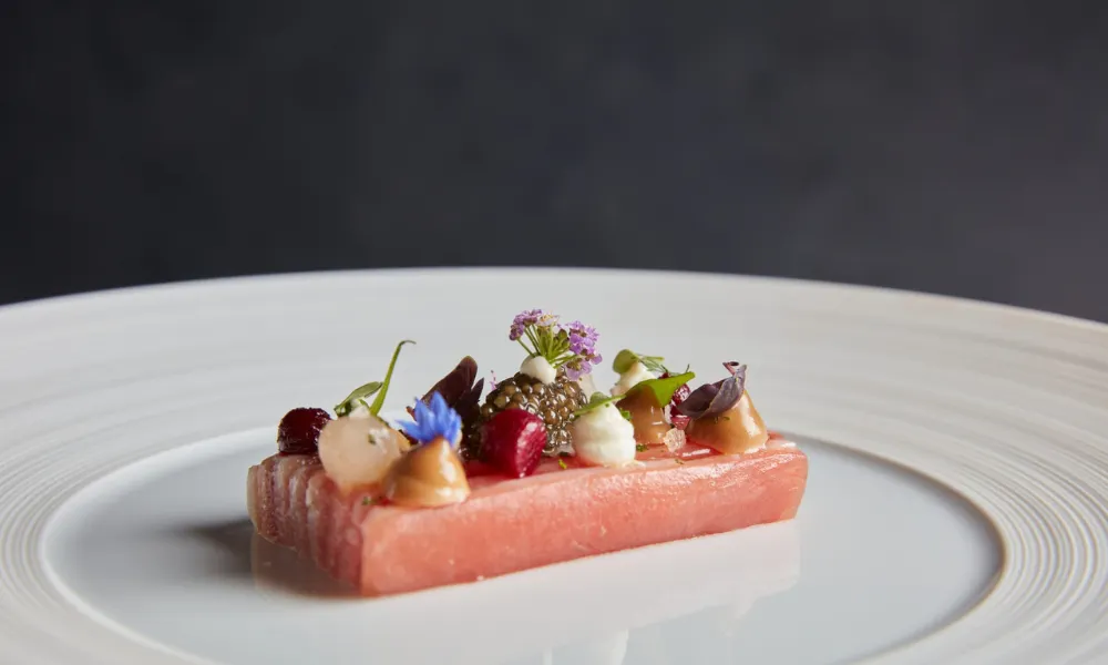 fish dish with different gels and sauces
